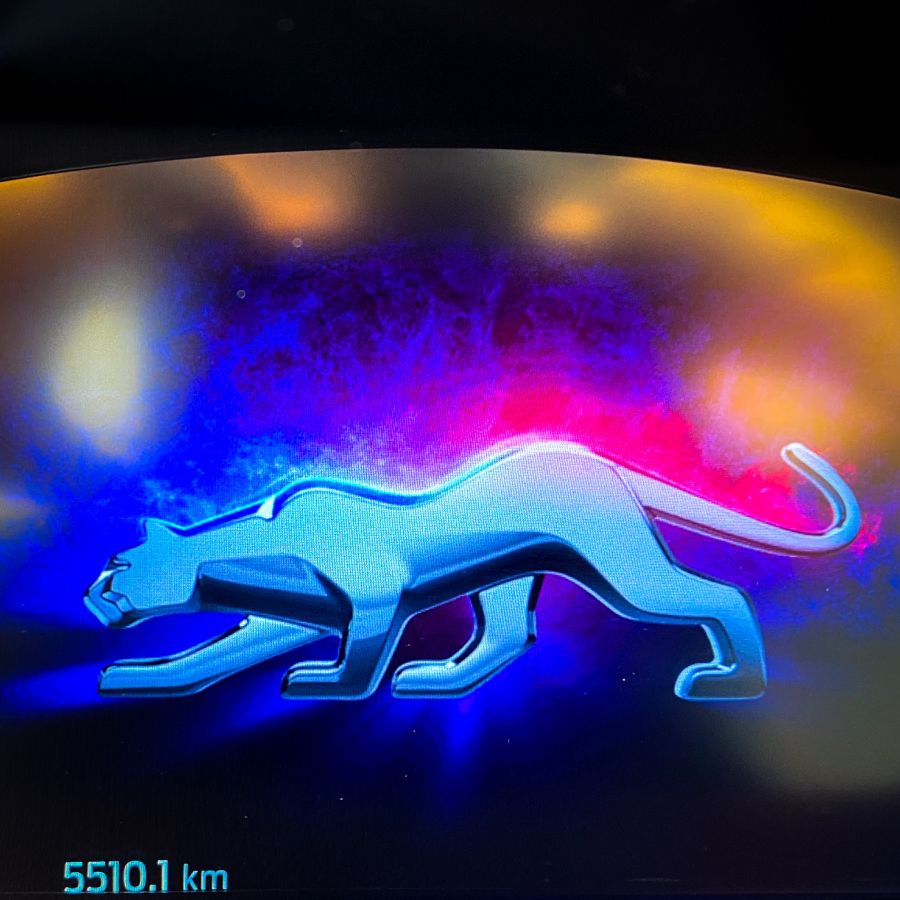 A Puma újra támad – Ford Puma ST-Line X 1.0l EcoBoost 155Le - STYLENEWS - Mobility - ford, ford crossover, ford mild hybrid, ford puma, ford puma teszt, ford suv, fordító, new ford puma, új ford puma, 