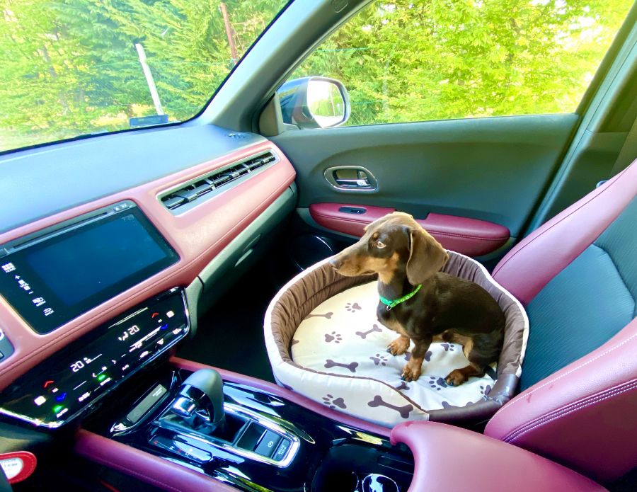 Az utolsó szamuráj - Honda HR-V 1.5 Turbo Sport CVT - STYLENEWS - Mobility - honda hrv, honda hrv sport, honda suv, honda teszt, hrv teszt, 