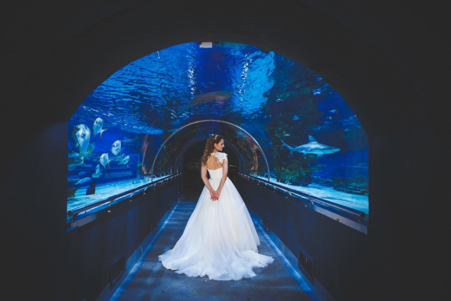 20 éves kicsik és nagyok kedvence, a Tropicarium - STYLELIFE - Stylekids - állatkert, születésnap, tropicarium, 