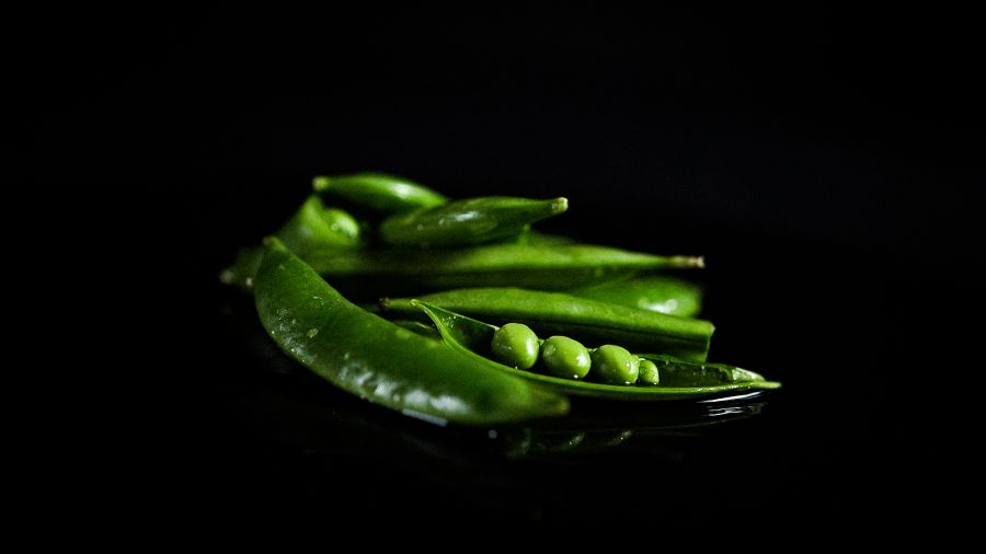 Nyári megújulás kívül és belül II. rész - STYLELIFE - Egészség - fehérje, tr90, v-shake, 