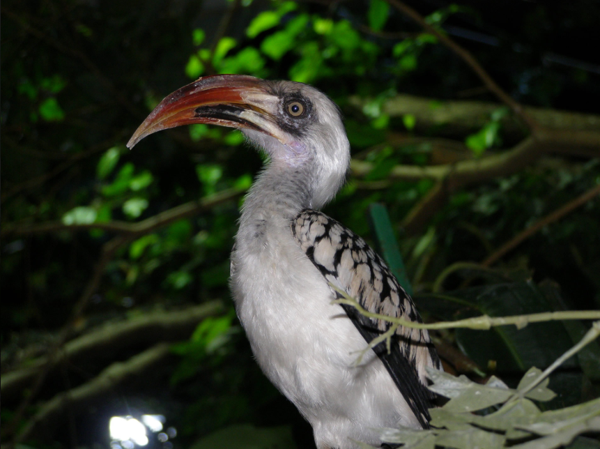 Mit csináljunk strandolás helyett? - Programötlet gyerekekkel kevésbé nyárias napokra - STYLELIFE - Style family - gyerekek, nyár, program, tropicarium, 