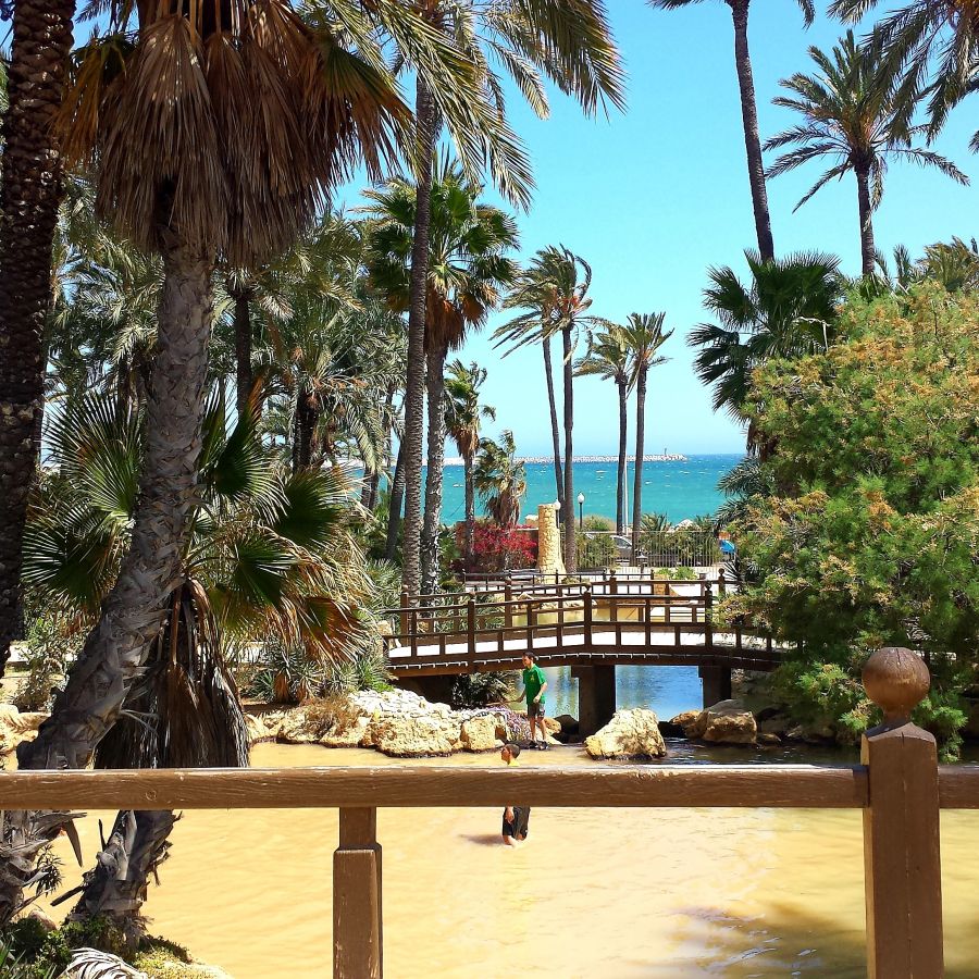 Ilyen az élet egy Spanyol városban - Interjú a Mike élete Costa Blancán blog szerzőjével - STYLENEWS - Interjúk - blog, costa blanca, interjú, spanyolország, 