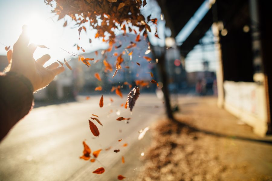 8 dolog, amit életed végére meg fogsz bánni - KERESD A NŐT  - Fesztelen mindennapok - élet, élettapasztalat, tanácsok, 