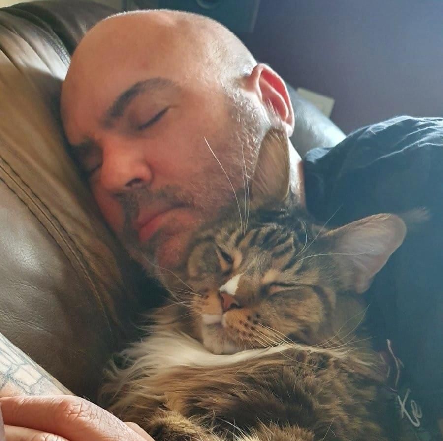 A macskás férfi, aki 'vadász üzemmódban' van, tényleg veszélyes? - Férfiszempont -  - férfi, macska, macskás, 