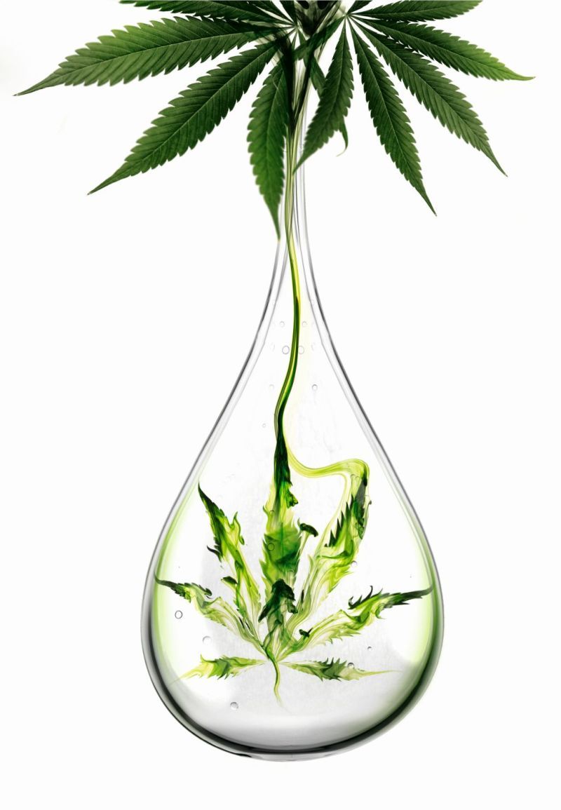 Bőrünk és a kannabisz barátsága avagy hogyan lett a régi„mumusból” értékes hatóanyag? - SZÉPSÉG - Bőrápolás - kannabisz, kendermagolaj, kendermagolaj a bőrnek, 