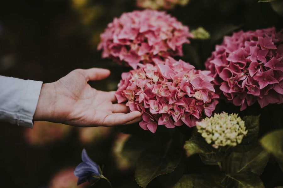 Ami nélkül nem létezik valódi intimitás - a fizikai érintés - KERESD A NŐT  - Fesztelen mindennapok - érintés, intimitás, tapintás, 