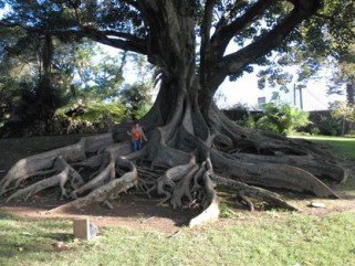 Karib-tenger: rum, szivar, Fidel, és persze kalózok - Utazás -  - egyenlítő, fidel, indiaiak, kalózók, karibtenger, kolumbusz, persze, rum, szivar, tetszett, 
