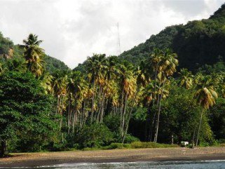 Karib-tenger: rum, szivar, Fidel, és persze kalózok - Utazás -  - egyenlítő, fidel, indiaiak, kalózók, karibtenger, kolumbusz, persze, rum, szivar, tetszett, 