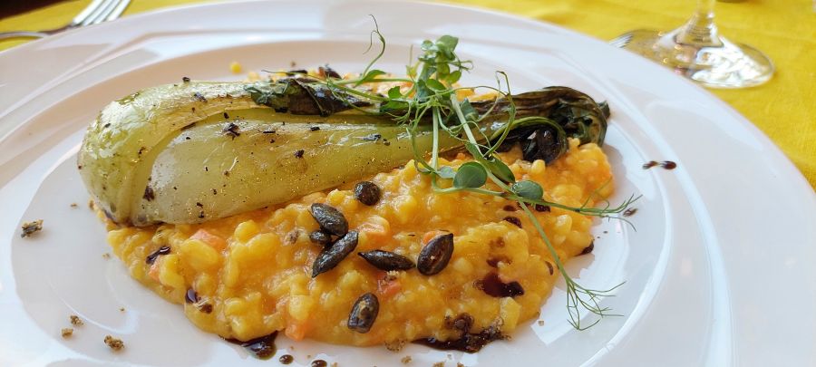 Sulyom Étterem- Gasztrostílus a Tisza-tónál - STYLELIFE - Gasztronómia - gasztronómia, gasztroturizmus, sarud, sulyom étterem, táj étterem, tiszató, 