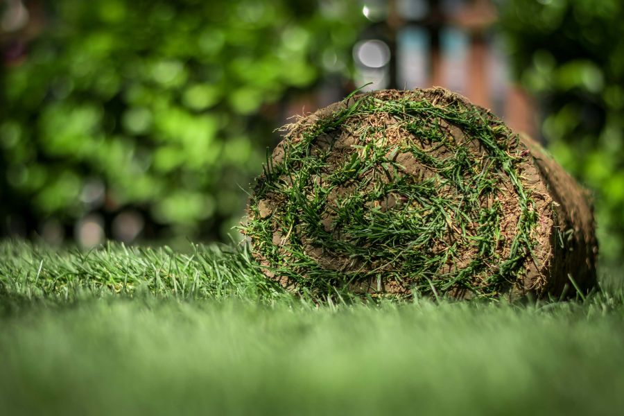 Legnagyobb bakik, amit gyepszőnyeg-telepítéskor elkövethetsz - STYLELIFE - Otthon & Design - gyep megrendelése, gyepszőnyeg, gyepszőnyeg szállítása, gyepszőnyeg telepítés, 