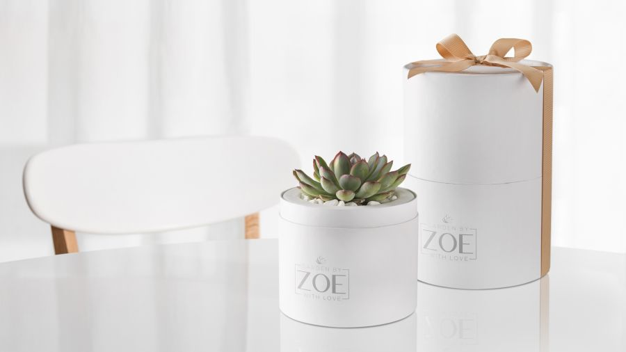 Ajándék titkos összetevővel - amivel még biztosan sehol sem találkozhattál - STYLELIFE - Otthon & Design - ajándék ötlet, ajándék ötletek, dekoráció, lakberendezés, szobanövények, 