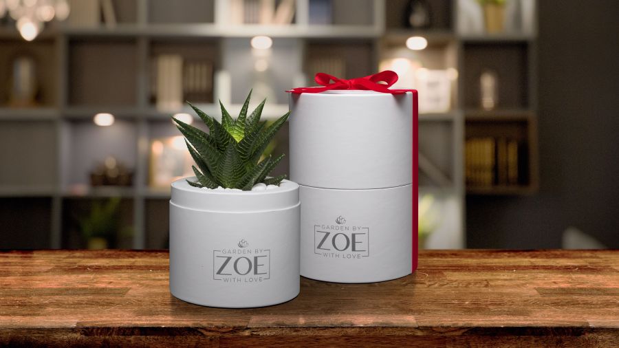 Ajándék titkos összetevővel - amivel még biztosan sehol sem találkozhattál - STYLELIFE - Otthon & Design - ajándék ötlet, ajándék ötletek, dekoráció, lakberendezés, szobanövények, 