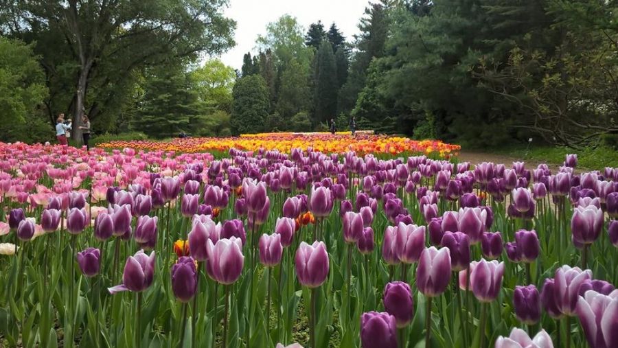 3 kora tavaszi kirándulóhely, amit érdemes meglátogatnod! - STYLELIFE - Utazás - kirándulóhelyek, kirándulóhelyek magyarországon, tavasz, 