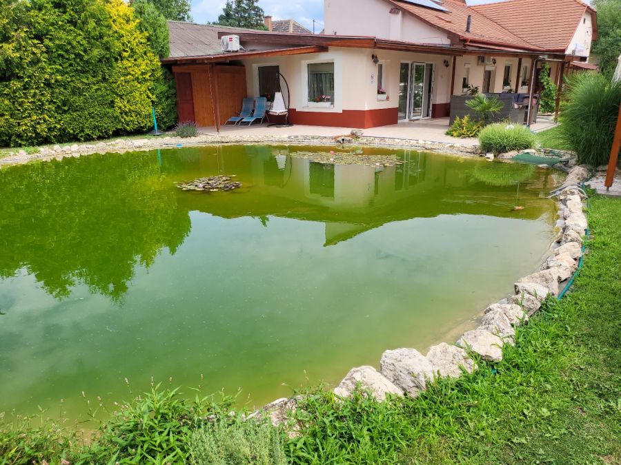 A gyógyulás az munka – beszélgetés Pokorny Lia színésznővel - STYLENEWS - Interjúk - egészség, mora, pokorny lia, 