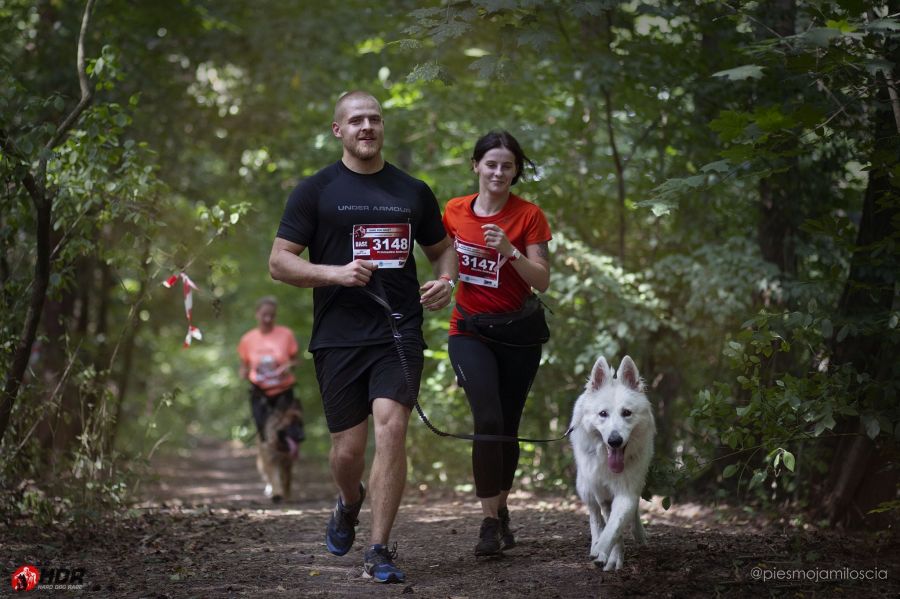 NOT JUST RUN: jótékonysági futam, tavaszi HDR örömfutás - STYLENEWS - Aktuális - hard dog race, hdr, 