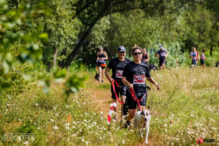 NOT JUST RUN: jótékonysági futam, tavaszi HDR örömfutás - STYLENEWS - Aktuális - hard dog race, hdr, 