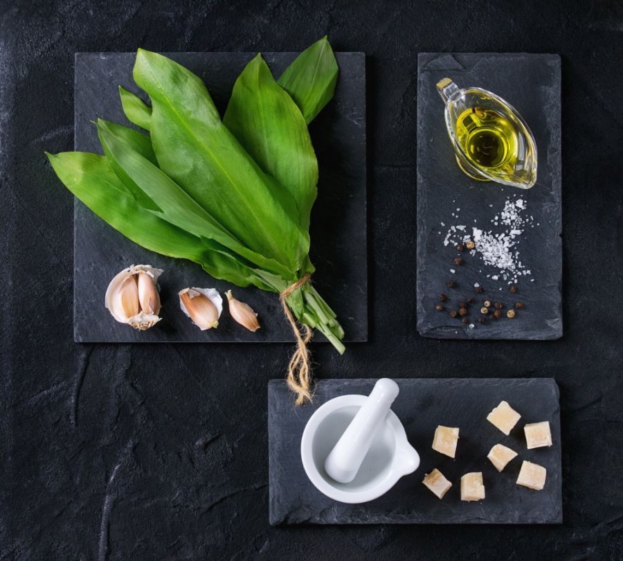 Egy íz az erdőből – receptekkel - STYLELIFE - Gasztronómia - medvehagyma recept, receptek, 