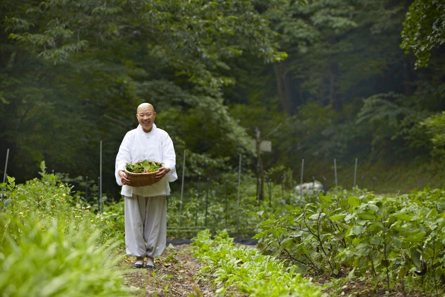 Magyarországra érkezik a világhírű koreai szerzetes séf - STYLELIFE - Gasztronómia - chef, gasztronómia, kulináris, séf, 