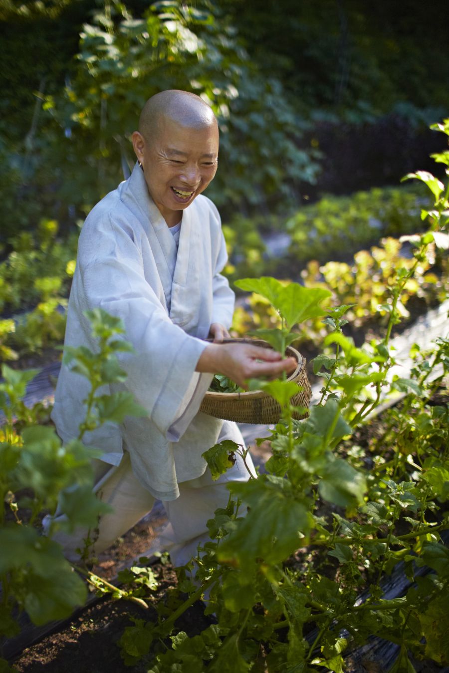 Magyarországra érkezik a világhírű koreai szerzetes séf - STYLELIFE - Gasztronómia - chef, gasztronómia, kulináris, séf, 