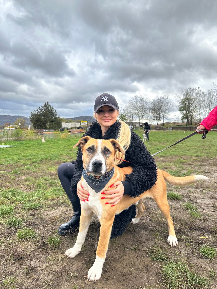 Kiskutyák a kifutón: Nemes ügy mellé álltak a sztárok - STYLENEWS - Rendezvények - dogs on the catwalk, Kiskutyák a kifutón, kutyák, kutyus, örökbefogadás, örökbefogadható kutyák, 