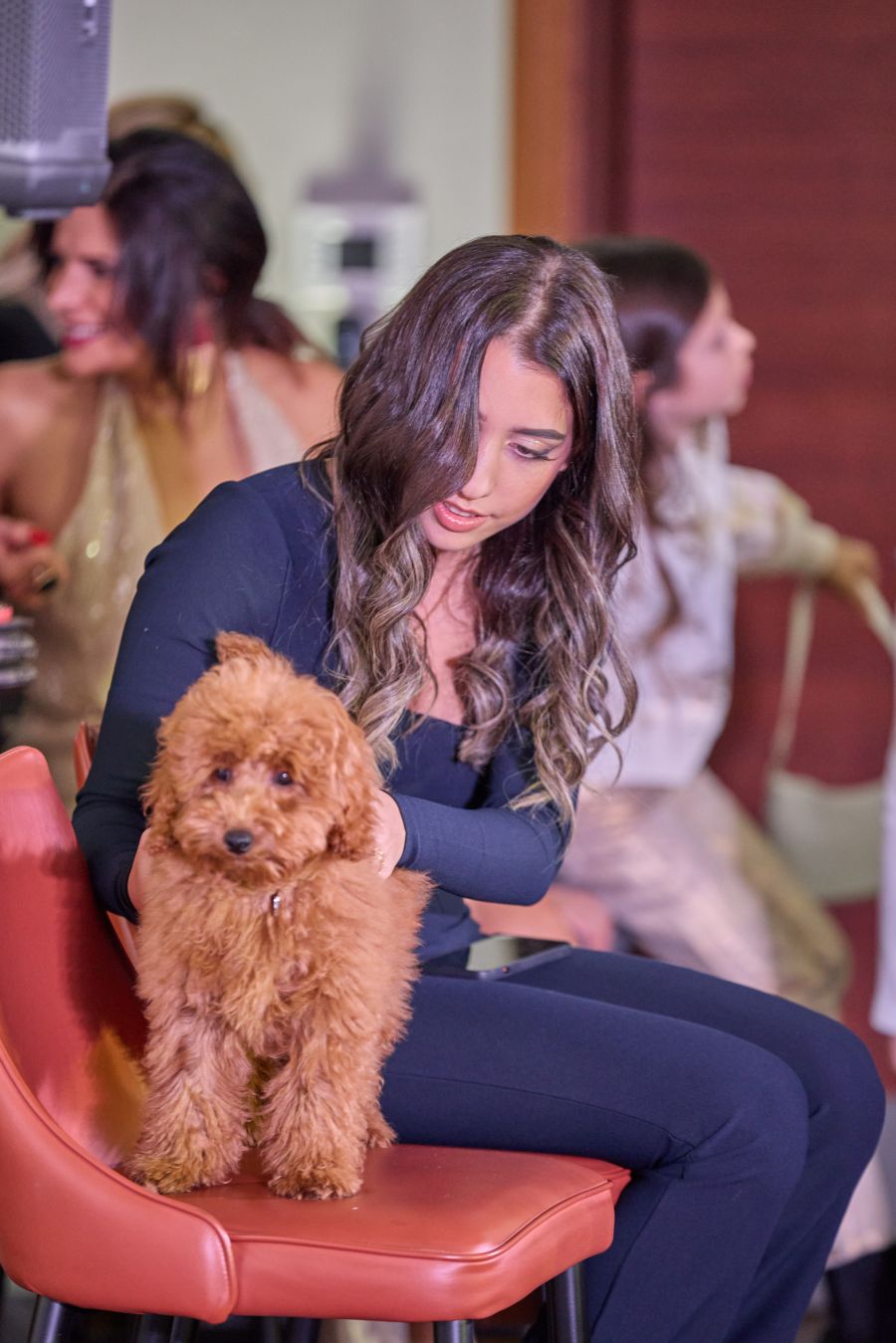 Menhelyi kutyák reflektorfényben – árva kutyákkal mutatták be a hazai divattervezők kollekcióikat sztárnagykövetek kíséretében - STYLENEWS - Aktuális - divatbemutató, dogs on the catwalk, dr Orosz Cintia, kutyák, menhely, menhelyi kutyák, örökbefogadás, Rubint Réka, ürömi állatotthon, 