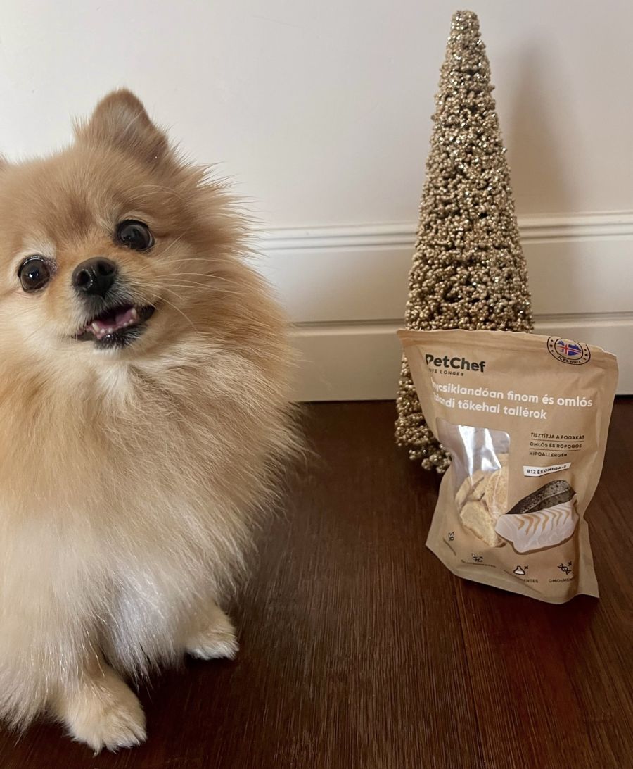 Friss ízek, egészség és szabadság: Hogyan segített a PetChef kutyaeledel allergiás kutyusunknak? - STYLELIFE -  - kutya allergia, kutyakaja, petchef, petchef vélemények, 