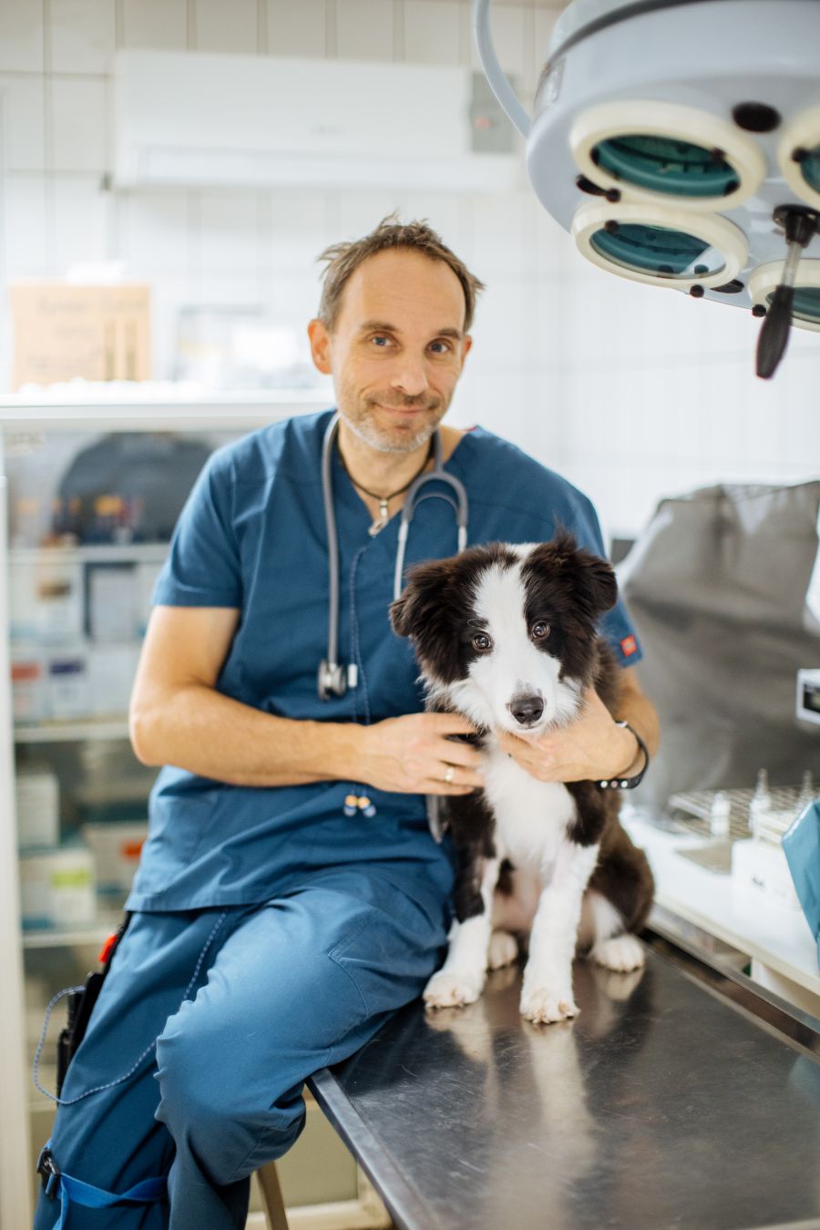 Új fejezet a kutyaeledelek történetében: próbáld ki Te is a PetChefet! - STYLELIFE -  - kutya, kutyatáp, petchef, petchef vélemények, 