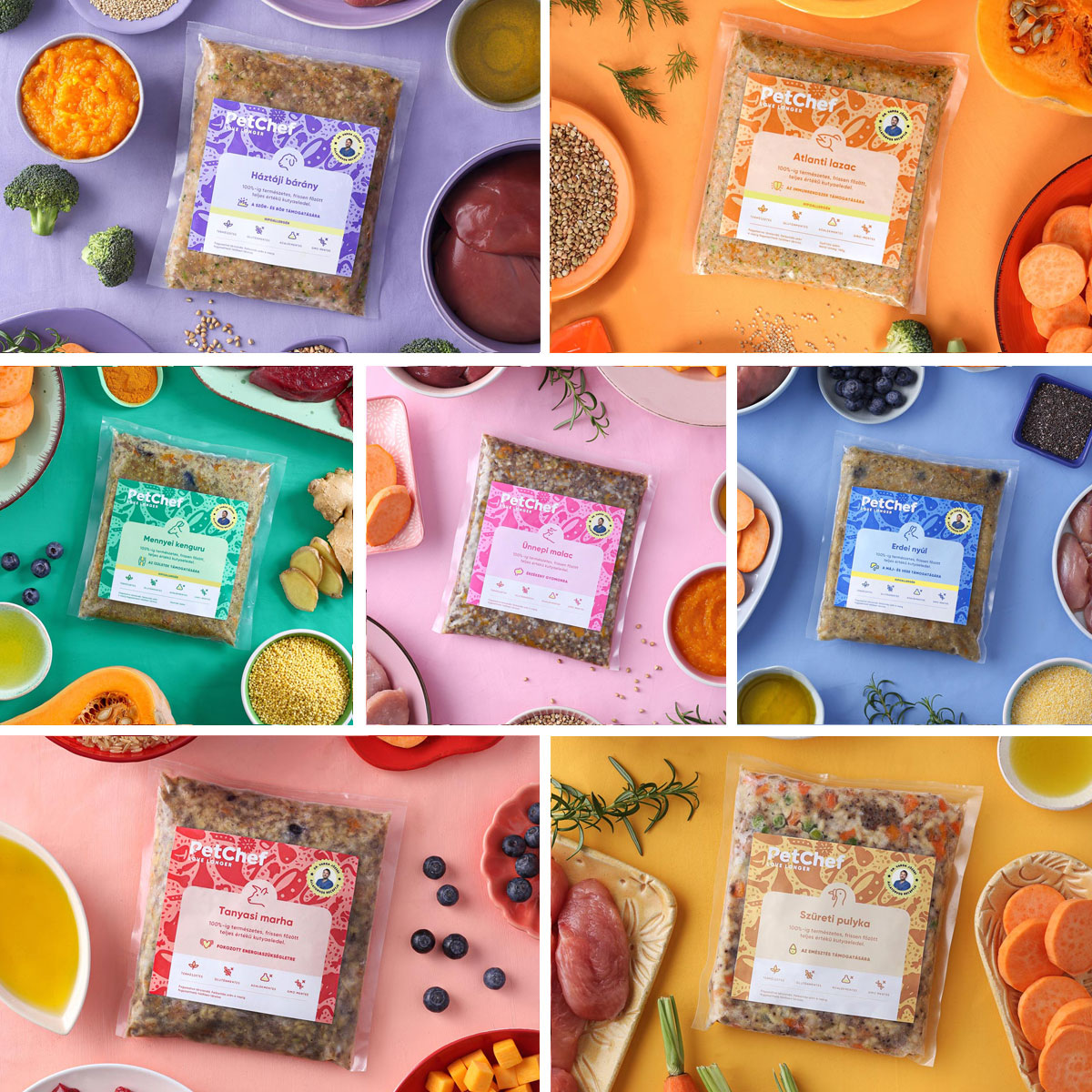 Új fejezet a kutyaeledelek történetében: próbáld ki Te is a PetChefet! - STYLELIFE -  - kutya, kutyatáp, petchef, petchef vélemények, 