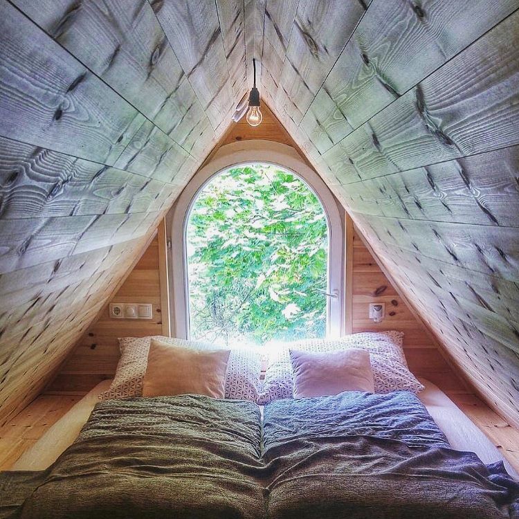 Kutyával Valentin-napon: Top 5 randihelyszín, ahova kedvenced is elkísérhet - STYLENEWS - Aktuális - helyszín, kutya, valentin nap, 