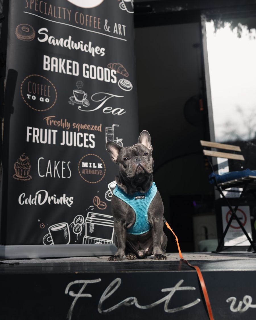 Impozáns és családias hely – Egy jó kávé mellett meginterjúvoltuk a Flat White Art  tulajdonosait - STYLELIFE -  - Flat white art, flat white kávé, kávézó, kávézó a várban, vár kávézó, 