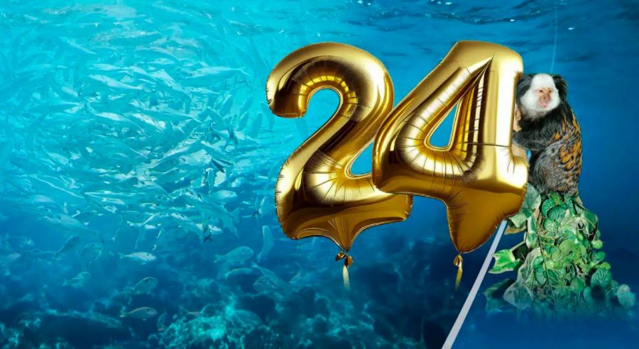 24 éves a Tropicarium - Kezdetek - Férfi szemmel -  - tropicarium, tropicarium budapest, 