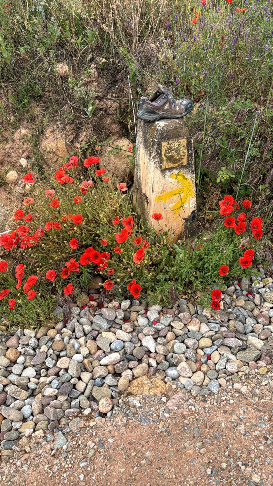 Az út, ami segít visszatalálni önmagadhoz - STYLENEWS -  - el camino, el camino km, el camino útvonal, interjú, Szabó Bea, 