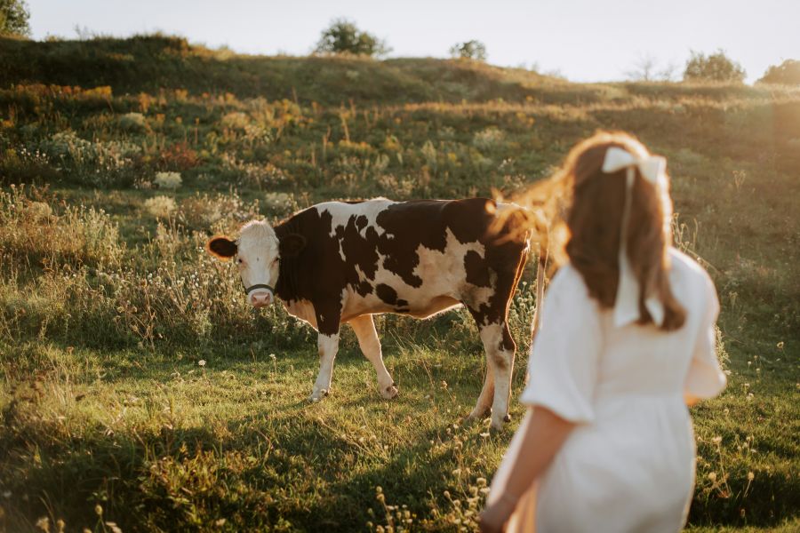 Azok a tipikus vidéki dolgok - KERESD A NŐT  - Fesztelen mindennapok - Támcsu Anikó, vidék, vidéki élet, vidéki élmények, 