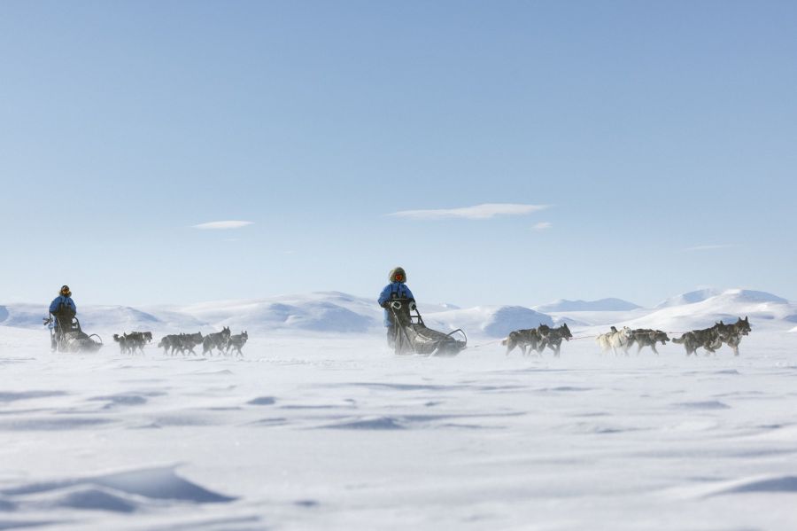 A skandináv sarkvidék kutyaszános felfedezésére szinte bárki képes – Indul a jelentkezés a 20. évfordulóját ünneplő Fjällräven Polarra! - STYLENEWS - Aktuális - expedíció, Fjällräven Polar, skandináv sarkvidék, 