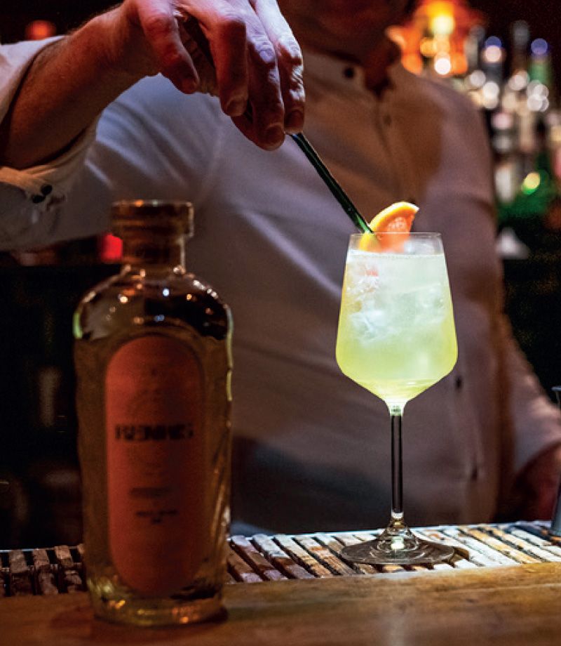 Renais Gin – Emma Watson prémium ginkülönlegessége már Magyarországon is elérhető - STYLELIFE - STYLE LOUNGE - Emma Watson, Renais Gin, Watson család, 