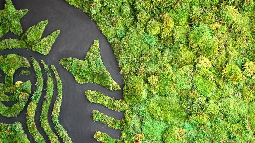 Föld napja: Így formálhatja a világot jobbá egyetlen csésze kávé! - STYLENEWS -  - fenntarthatóság, föld napja, kávé, starbucks, 