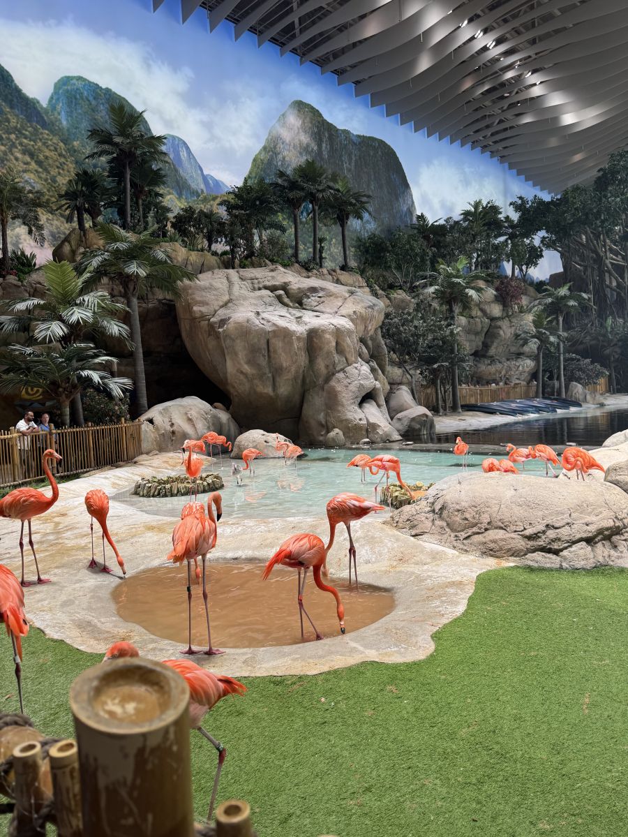 Mindenhol otthon :  A történet ahol én kezdődöm, avagy az első lélegzet idegen földön - KERESD A NŐT  -  - 