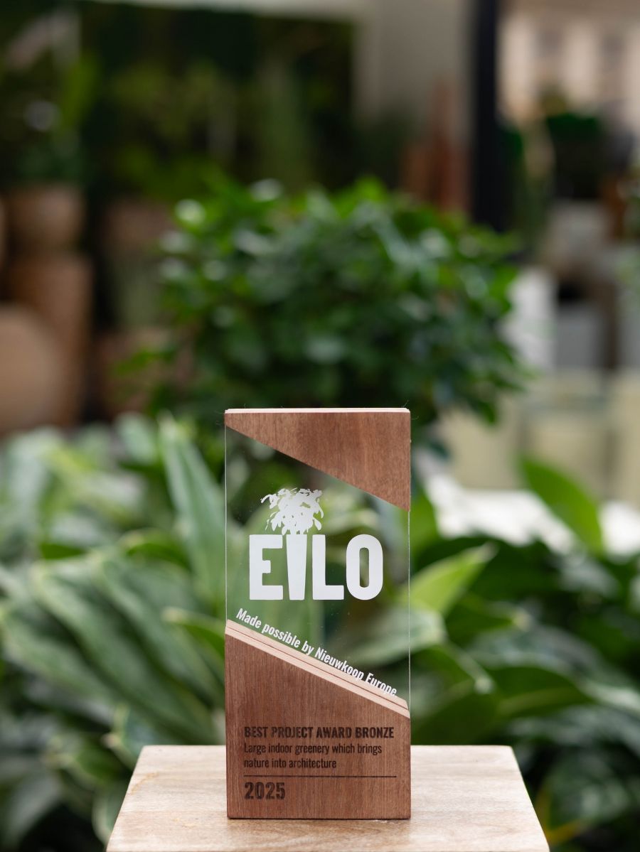 Újabb nemzetközi elismerést kapott a Dorothea Hotel - STYLENEWS - Aktuális - BDPST Group, Dorothea Hotel, Market Építő Zrt., 