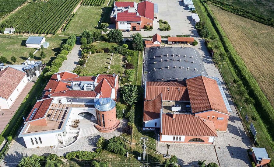 Magyar vörösbor lett aranyérmes Dél-Koreában - STYLENEWS -  - 