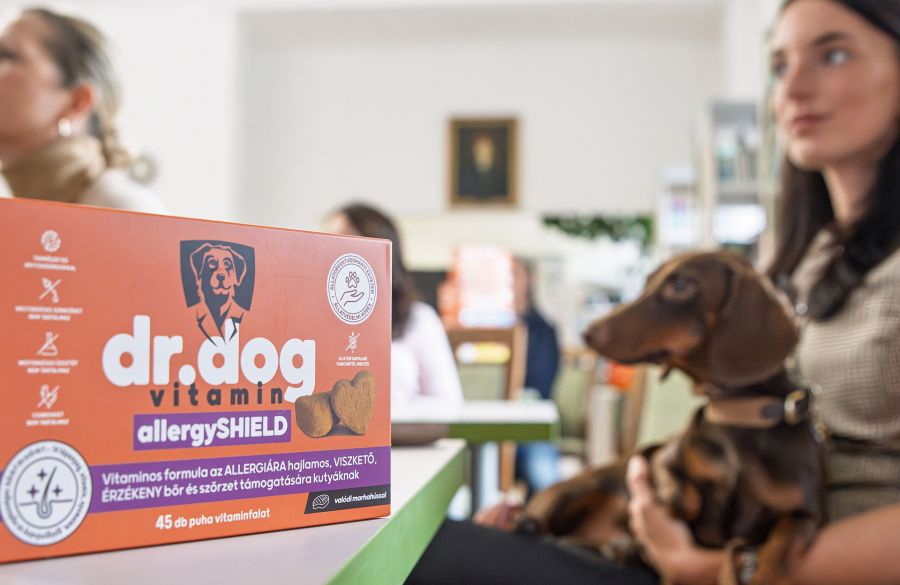 Tudatos gondoskodás négylábú családtagjainkért - STYLENEWS -  - Dr. Dog Vitamin, Vitamin kutyáknak, 