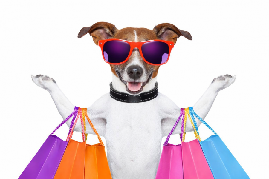 Kutyával a plázában – hol lehet, hol nem, és mit érdemes tudni - STYLELIFE -  - 