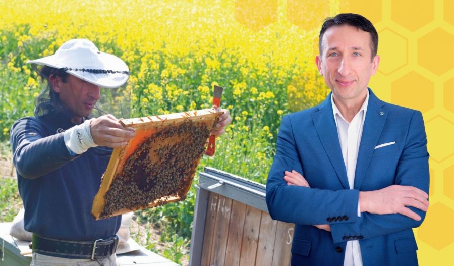 A méhméreg valóban természetes csodaszer, de ne dőljünk be a félrevezető ígéreteknek - STYLELIFE - Egészség - 