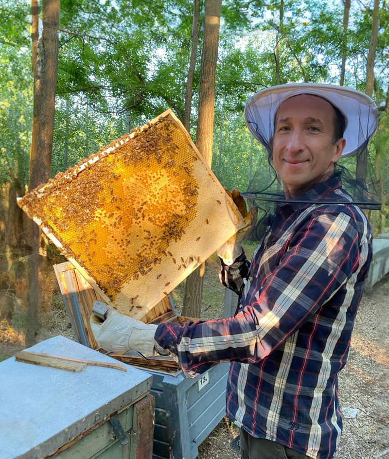 A méhméreg valóban természetes csodaszer, de ne dőljünk be a félrevezető ígéreteknek - STYLELIFE - Egészség - 