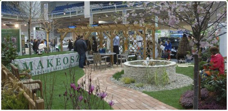 Greenexpo, Gardenexpo és Orchideák, színes orchideák -  -  - Bromélia, Budapest, Gardenexpo, Greenexpo, Nemzetközi Orchidea kiállítás, Papp László, Sportaréna, 