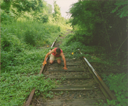 Ludwig Múzeum: új szerzemények -  -  - kiállítás, kortárs, Ludwig Múzeum, 