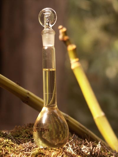 Csodatévő illóolajok - Fesztelen mindennapok -  - Camay, egészség, illóolajok, 