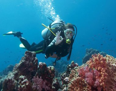 Rekreáció III. - Nyaralj aktívan! - Utazás -  - egészség, rekreáció, sport, 