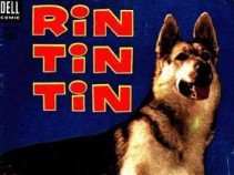 Híres kutyák a filmtörténetben - Fesztelen mindennapok -  - állatok, filmtörténet, kutya, 