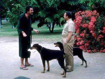 Híres kutyák a filmtörténetben - Fesztelen mindennapok -  - állatok, filmtörténet, kutya, 