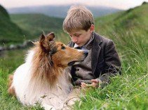 Híres kutyák a filmtörténetben - Fesztelen mindennapok -  - állatok, filmtörténet, kutya, 